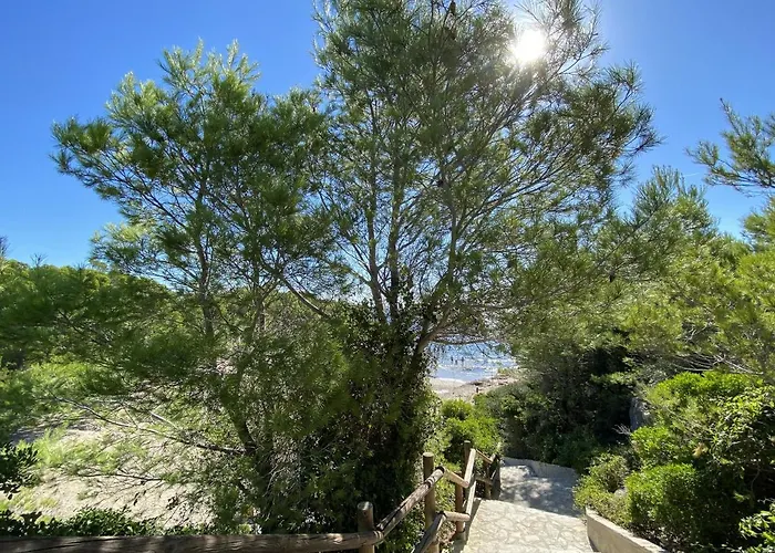 Mila L'Ametlla de Mar