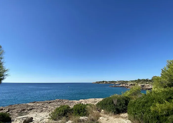 Mila * L'Ametlla de Mar